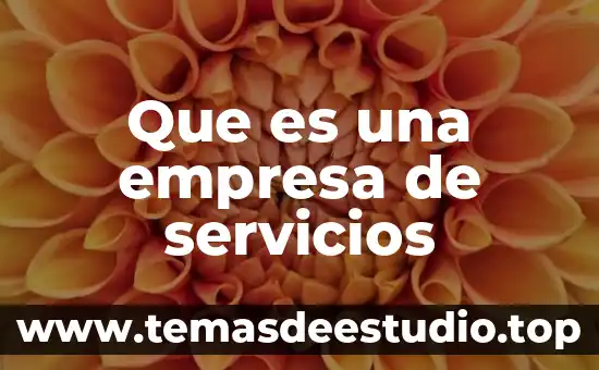 Que es ser racializado 4 Que es una empresa de servicios