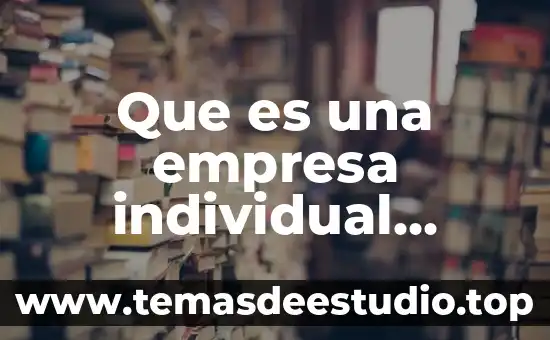 Definicion de que es ser individual 6 Que es una empresa individual sociedad mercantil