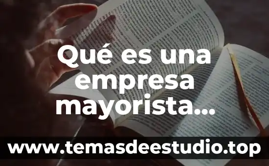 Qué es una empresa mayorista ejemplos