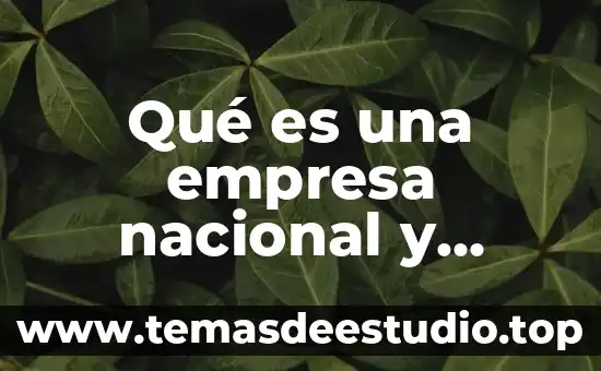 Que es cuenta unica nacional 4 Qué es una empresa nacional y extranjera