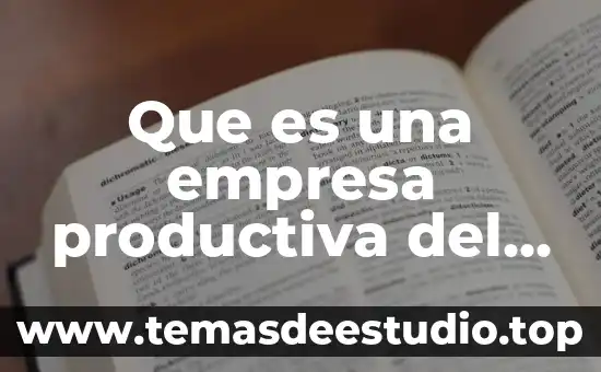 Que es una empresa productiva del estado