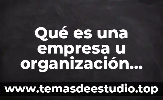 Que es u relato comun 3 Qué es una empresa u organización desde la administración