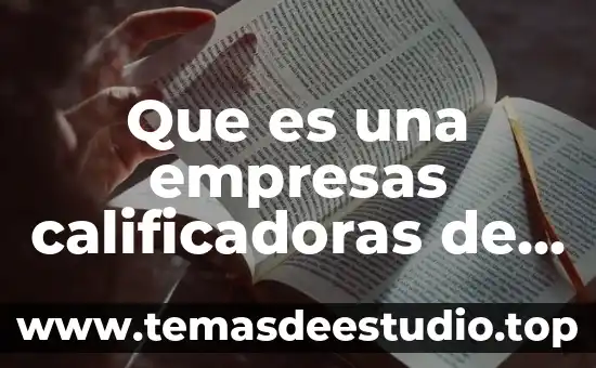 Que es la organizacion y actividades auxiliares del credito 5 Que es una empresas calificadoras de credito