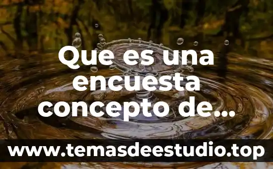 Que es una encuesta concepto de autores