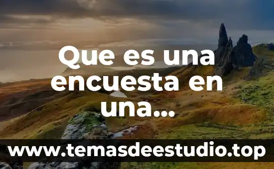 Que es una encuesta en una investigacion cualitativa