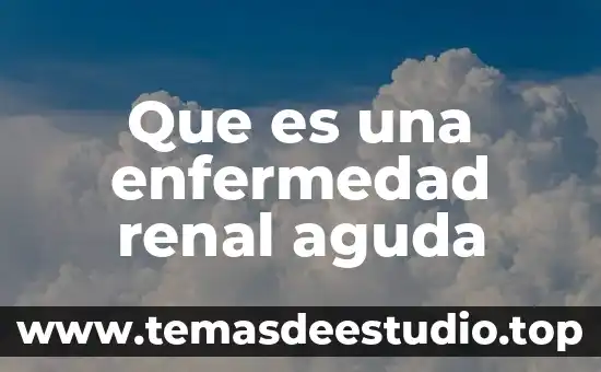 Definición y qué es tolerancia 4 Que es una enfermedad renal aguda