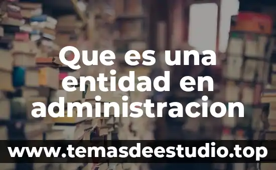 Que es una entidad en administracion