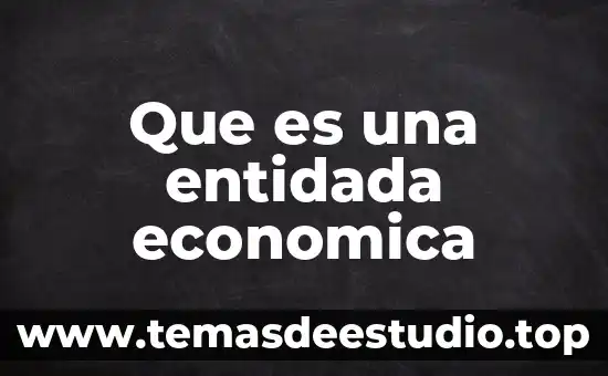 Que es el banco de información economica del inegi 3 Que es una entidada economica