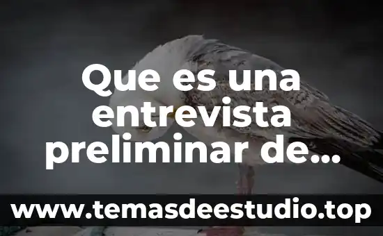 Que es una entrevista preliminar de trabajo