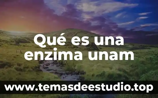 Qué es una enzima unam