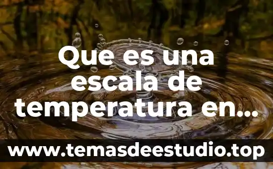Que es una escala de temperatura en fisica