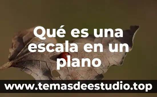 Qué es una escala en un plano