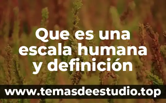 Según Maslow que es la teoría de la motivación humana 5 Que es una escala humana y definición