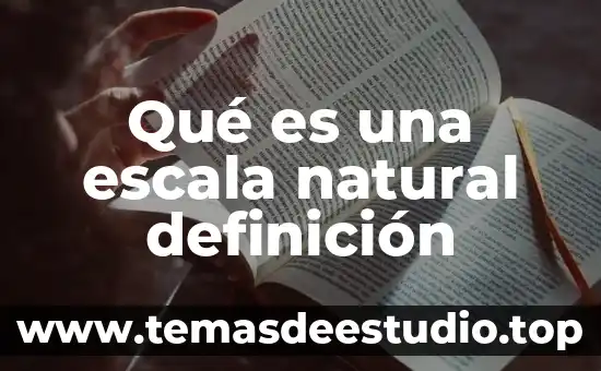 Qué es una escala natural definición