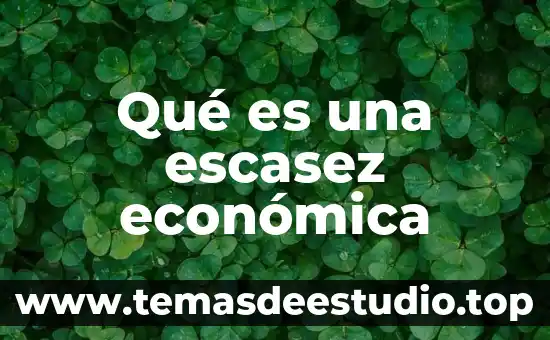 Qué es una escasez económica