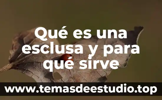 Plan empresa que es y para que sirve 3 Qué es una esclusa y para qué sirve