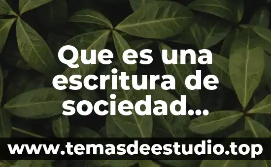 Que es una sociedad anonima bursatil de capital variable 7 Que es una escritura de sociedad anonima