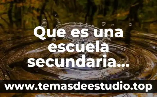 Actividad secundaria que es 3 Que es una escuela secundaria segun moises saenz