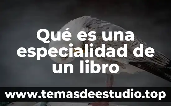 Que es la cubierta o tapa de un libro 5 Qué es una especialidad de un libro