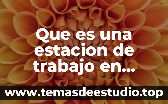 Que es medidas y datos que contiene ficha de trabajo 3 Que es una estacion de trabajo en gastronomia