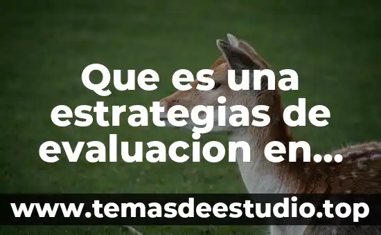 Que es una evaluacion para umas 3 Que es una estrategias de evaluacion en matematicas