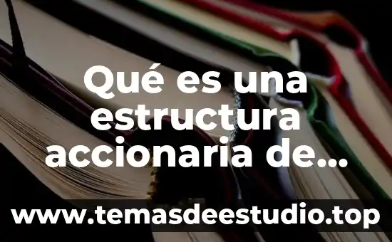 Que es conocimiento en una empresa 8 Qué es una estructura accionaria de una empresa