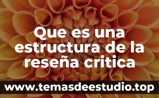 Qué es la teoría crítica en la investigación cualitativa 3 Que es una estructura de la reseña critica