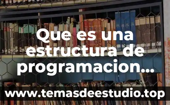 Qué es sincrónico y asincrónico en circuito lógico secuencial 3 Que es una estructura de programacion secuencial
