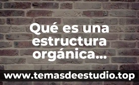 Que es estructura social dinamica 5 Qué es una estructura orgánica actividad fusuca