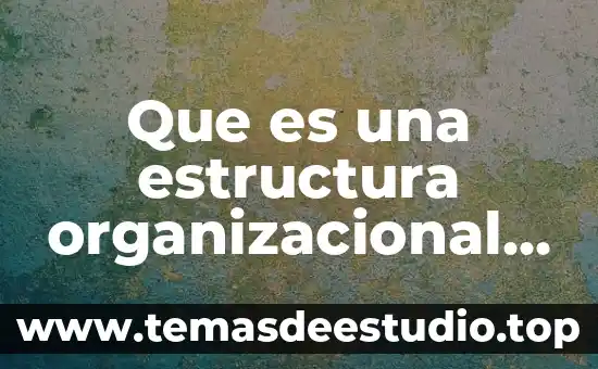 Que es estructura social dinamica 6 Que es una estructura organizacional educativa ejemplos