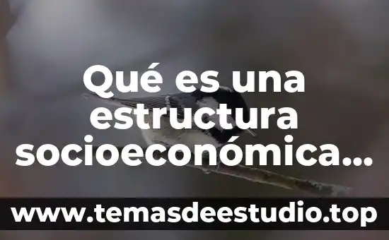 Que es estructura rigida inexistente 3 Qué es una estructura socioeconómica de