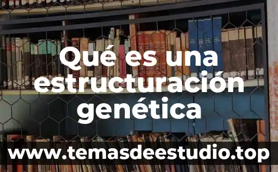 Qué es una estructuración genética