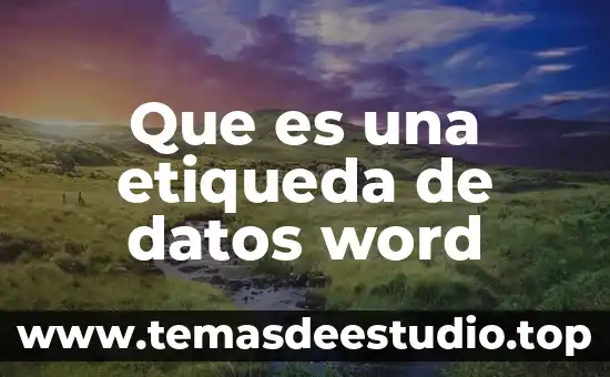 Qué es comunicación de datos definición 5 Que es una etiqueda de datos word