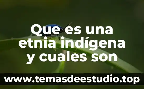 Que es una etnia indígena y cuales son