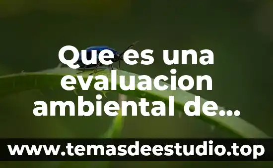 Que es una evaluacion ambiental de sitio