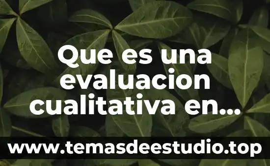 Que es una evaluacion cualitativa en una empresa
