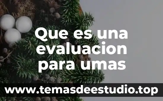 Que es la evaluacion del pei 8 Que es una evaluacion para umas