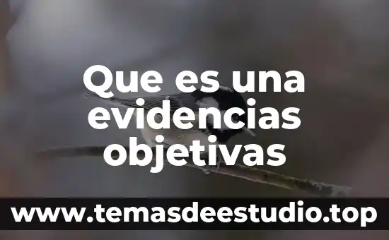 Que es el conocimiento filosofico universidad 5 Que es una evidencias objetivas