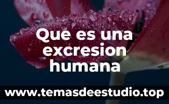 Que es la clanacion humana y animal 3 Que es una excresion humana