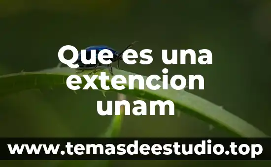 Que es pornografia unam 4 Que es una extencion unam