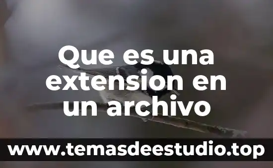 Que es una extension en un archivo