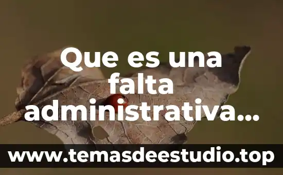 Qué es arquitectura cliente servidor ejemplos 4 Que es una falta administrativa de un servidor publico