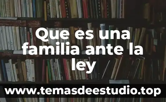 Prestaciones superiores a la ley que es 4 Que es una familia ante la ley