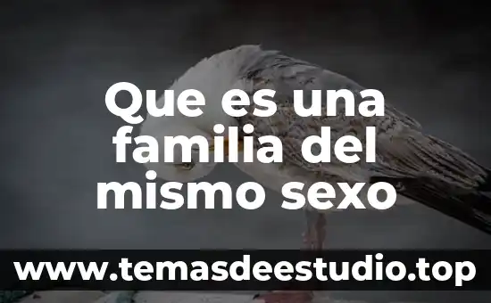 Que es una familia del mismo sexo