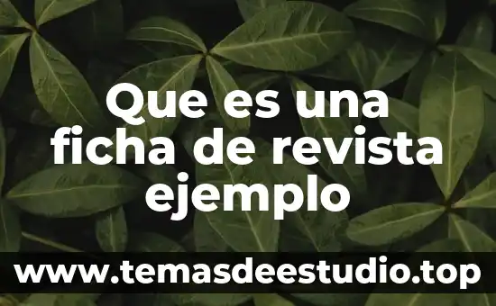 Que es una ficha de revista ejemplo