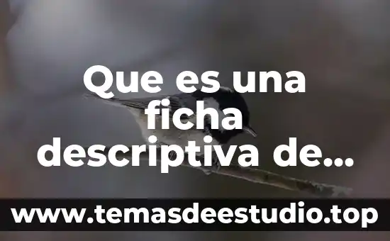 Perspectiva descriptiva que es en psicología 5 Que es una ficha descriptiva de grupo