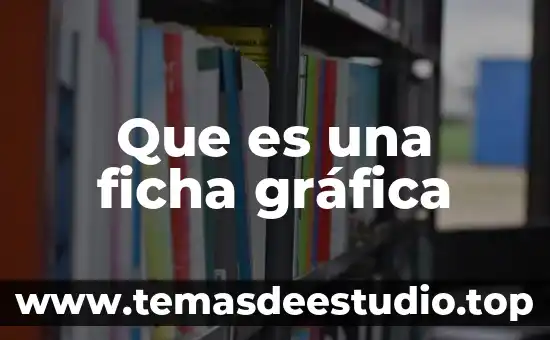 Que es una definición ficha digital 3 Que es una ficha gráfica