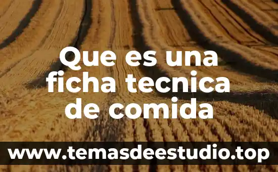 Que es charipo comida mexicana 5 Que es una ficha tecnica de comida