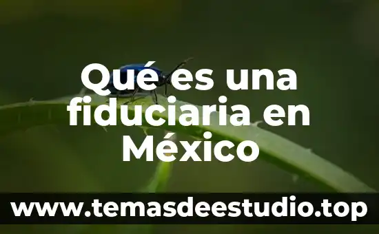 Qué es una fiduciaria en México