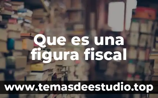 Que es tipo de identificacion fiscal 7 Que es una figura fiscal